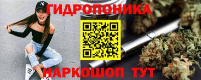 скорость Кинель