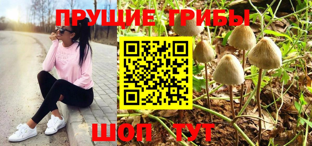 Псилоцибиновые грибы Psilocybe  Вход с VPN  Азов  Псилоцибиновые грибы MAGIC MUSHROOMS 